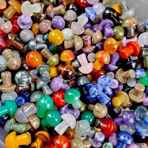 Intuitively chosen mini crystal mushroom scoop (7-10 count)